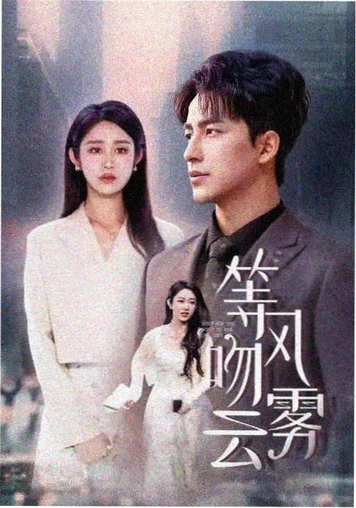 儿媳妇李意榜单封面